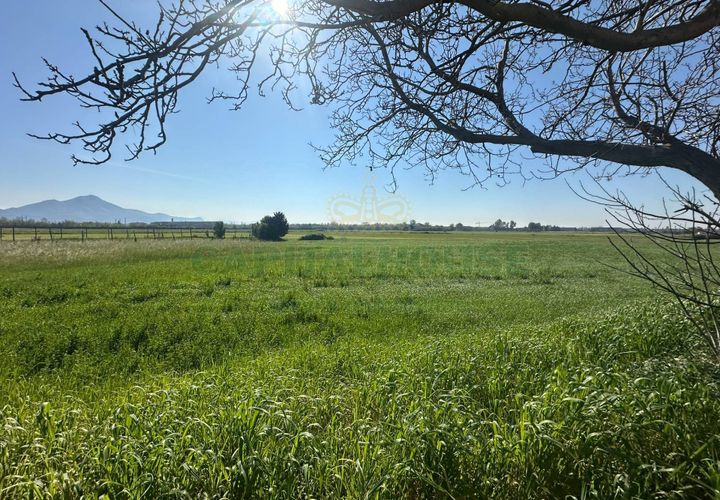 Tomt i Capua, Caserta, Capua - € 35 000 | Ref: 35TERRENO - foto 1