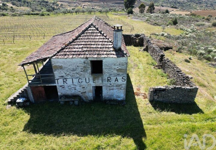 Gård i Vila Flor, Braganca, Vila Flor - € 540 000 | Ref: 858452 - foto 1
