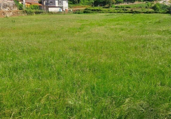Terra a Penafiel, Porto, Penafiel - € 124.900 | Ref: 860817 - foto 1