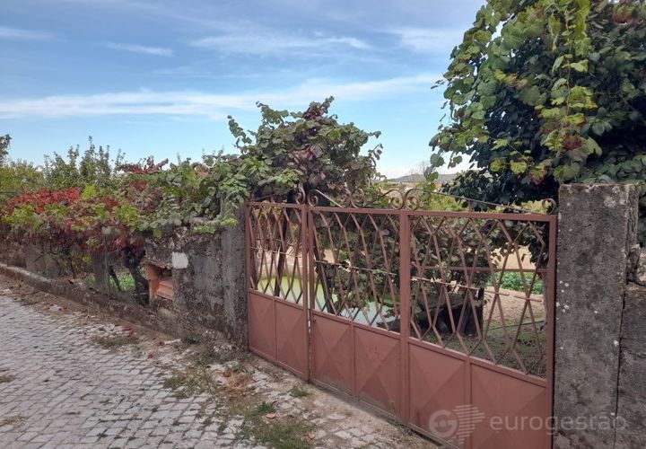 Terra a Cepoes, Viseu, Cepoes - € 27.500 | Ref: LMG_4095 - N - foto 1
