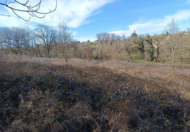 Helårsgrund i Mirandol-Bourgnounac, Tarn, Mirandol-Bourgnounac - € 118.505 | Ref: 4C4977AE8CDB4979 - foto 1
