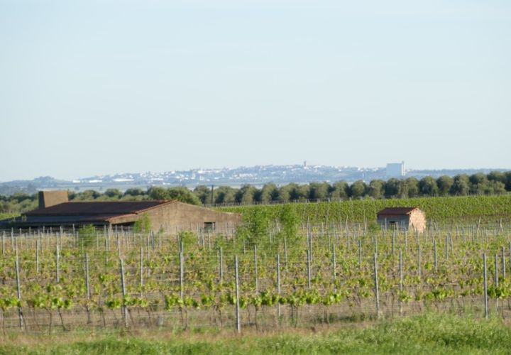 Farm i Cuba, Beja, Cuba - € 850.000 | Ref: GB011 - foto 1