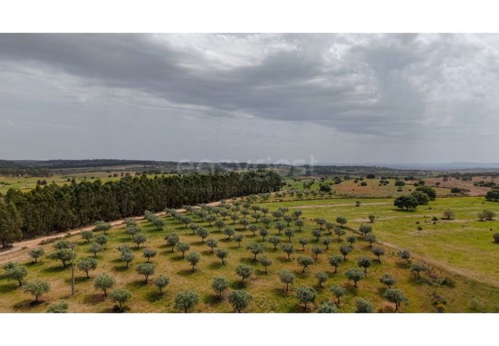 Terra a Rosmaninhal, Castelo Branco, Rosmaninhal - € 920.000 | Ref: LA98961NN - foto 1