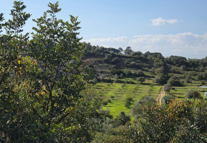 Helårsgrund i Lagoa, Faro, Lagoa - € 45.000 | Ref: KWPT-030482 - foto 1