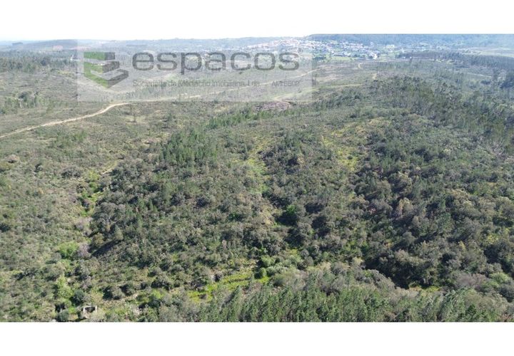 Helårsgrund i Castelo Branco, Castelo Branco, Castelo Branco - € 9.750 | Ref: 5521/EG - foto 1