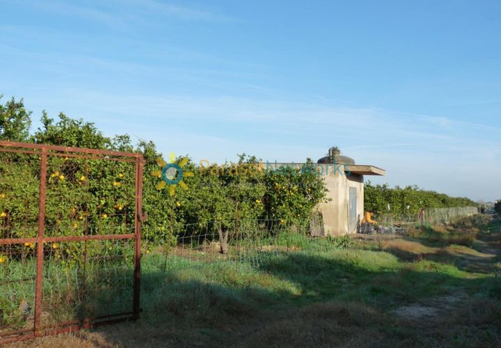 Helårsgrund i Oliva, Valencia, Oliva - € 120.000 | Ref: PNPT227 - foto 1