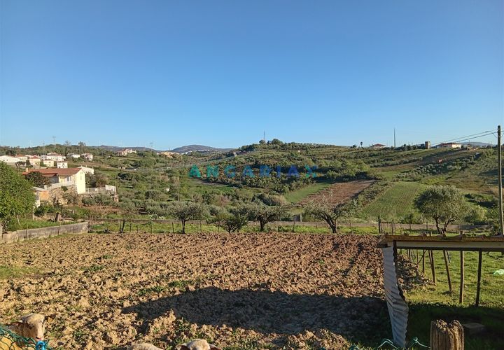 Terra a Batalha, Leiria, Batalha - € 45.000 | Ref: ANG1567 - foto 1