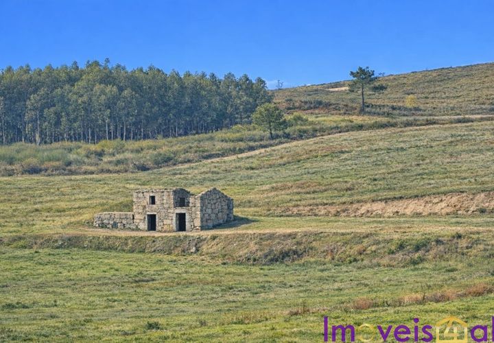 Landejendom i Baiao, Porto, Baiao - € 595.000 | Ref: 2026-3 /AL-GB - foto 1