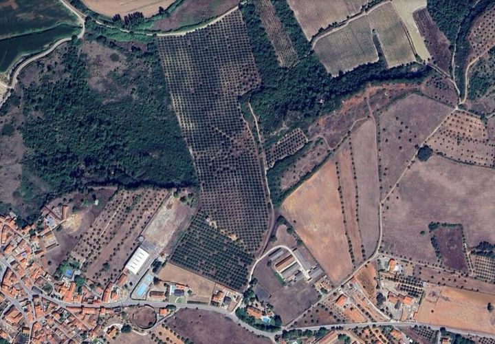 Terra a Assentiz, Santarem, Assentiz - € 22.500 | Ref: SF-SAFTI:008041 - foto 1