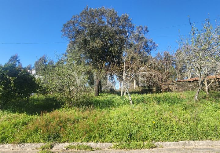 Terra a Agueda, Aveiro, Agueda - € 24.500 | Ref: AV2876 - foto 1
