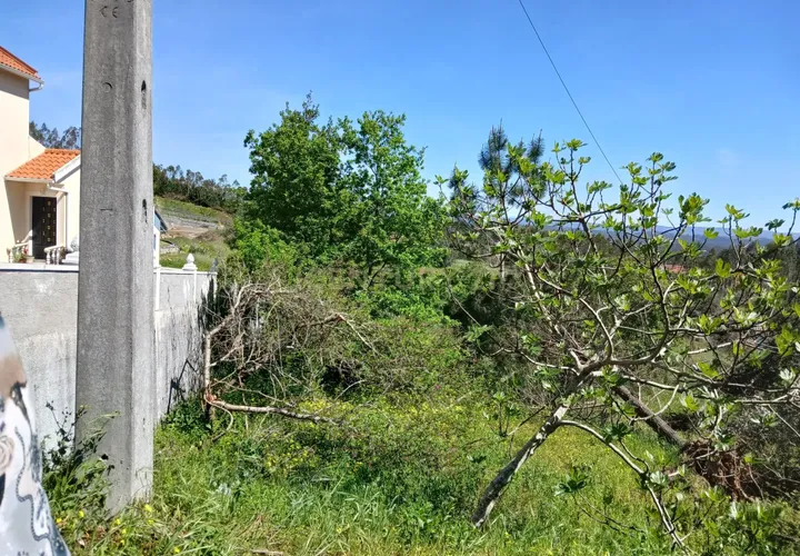 Helårsgrund i Pombal, Leiria, Pombal - € 48.000 | Ref: C0381-00884 - foto 1