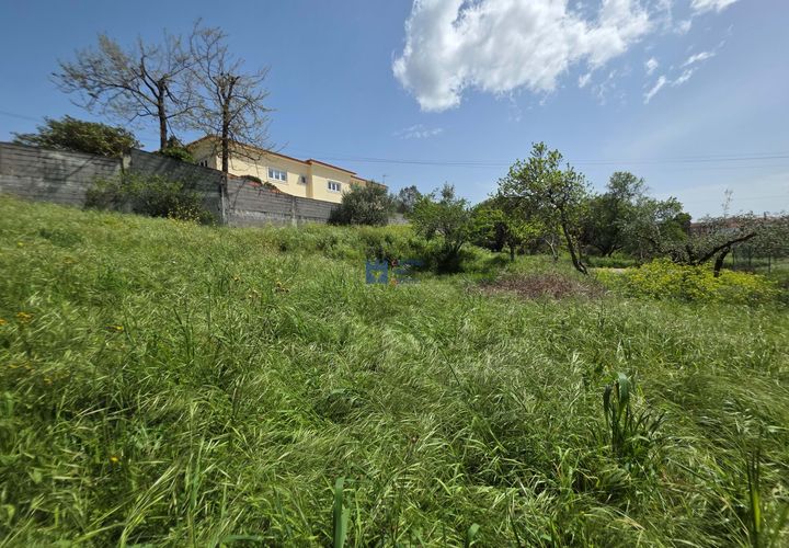 Terra a Fatima, Santarem, Fatima - € 75.000 | Ref: T1156_2025 - foto 1