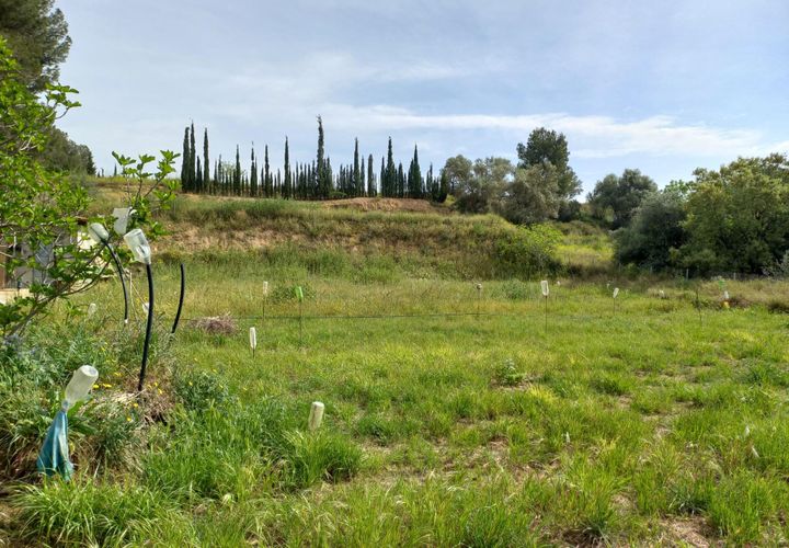 Helårsgrund i Ginestar, Tarragona, Ginestar - € 20.000 | Ref: EXP13927/8930 - foto 1