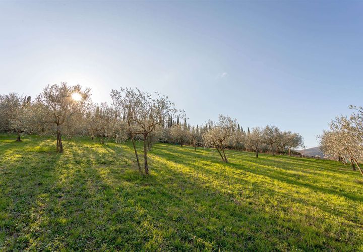 Erhvervsejendom i Luni, La Spezia, Luni - € 40.000 | Ref: 3580 - foto 1