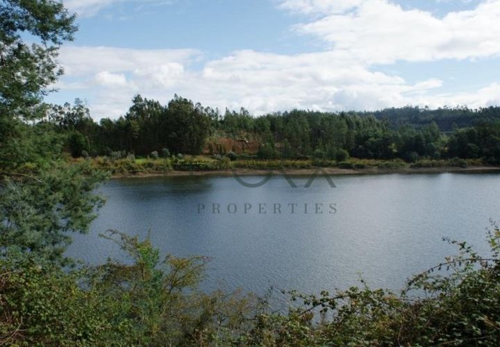 Terra a Penacova, Coimbra, Penacova - € 1.800.000 | Ref: PT012-13 - foto 1