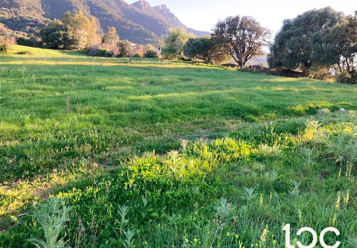 Helårsgrund i Torpe, Nuoro, Torpe - € 115.000 | Ref: PO1302 - foto 1