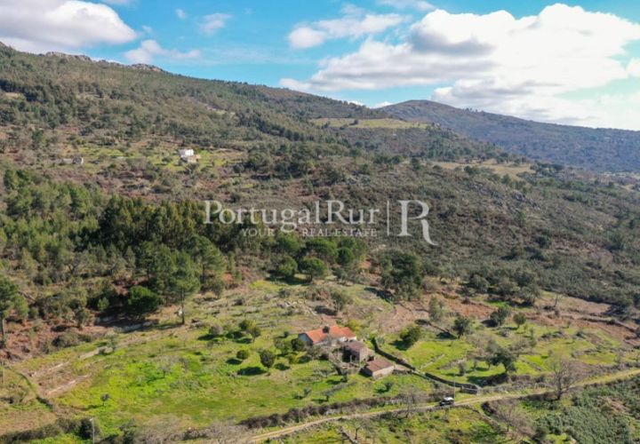 Farm i Castelo de Vide, Portalegre, Castelo de Vide - € 135.000 | Ref: ML25 - foto 1