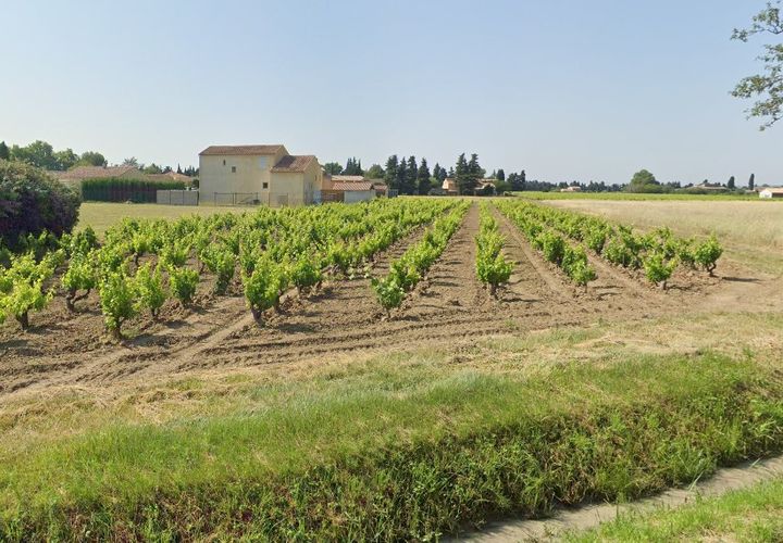 Terra a Violès, Vaucluse, Violès - € 164.900 | Ref: P22 - foto 1