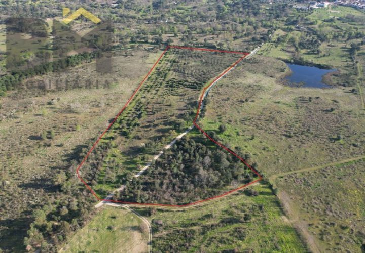 Terra a A do Bispo, Castelo Branco, A do Bispo - € 70.000 | Ref: 5032 - foto 1