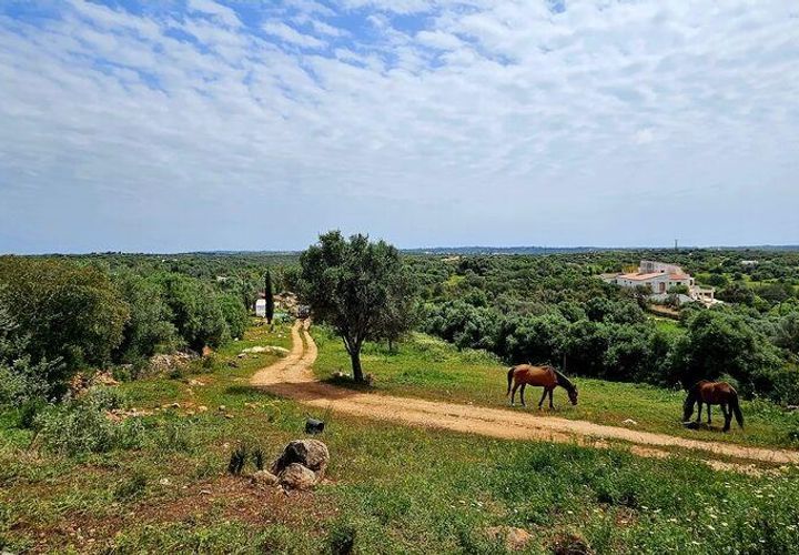 Helårsgrund i Sagres, Faro, Sagres - € 225.000 | Ref: 872063 - foto 1