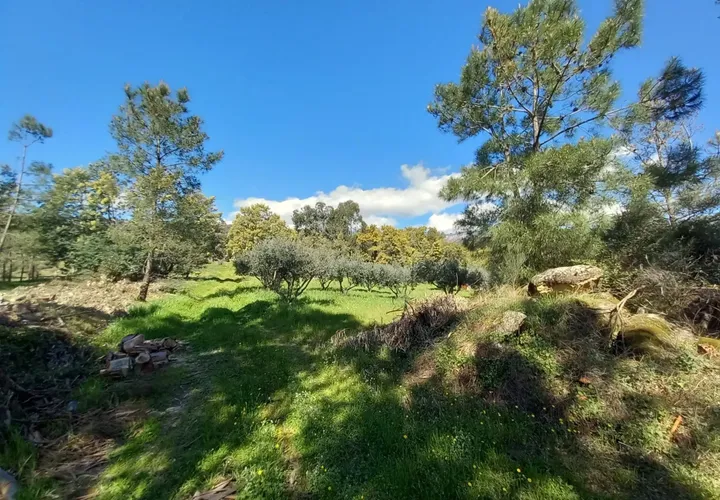 Farm hus i Castelo Branco, Castelo Branco, Castelo Branco - € 139.900 | Ref: C0434-01263 - foto 1