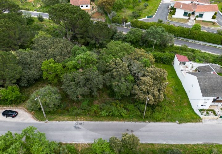 Terra em Minde, Santarem, Minde - € 32.500 | Ref: C0269-02099 - foto 1
