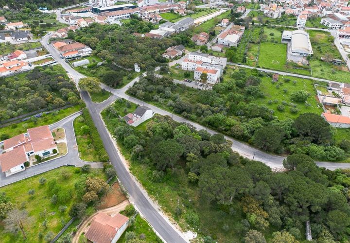 Terra em Minde, Santarem, Minde - € 32.500 | Ref: C0269-02096 - foto 1