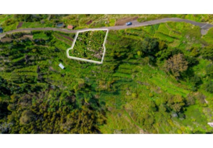 Terra a Camacha, Madeira, Camacha - € 19.000 | Ref: RHG26017 - foto 1