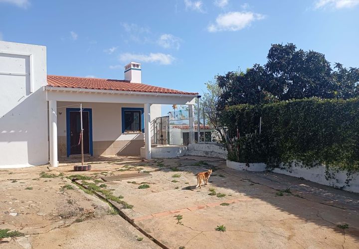Farm hus i Lagos, Faro, Lagos - € 600.000 | Ref: T0524 - foto 1