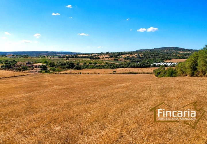 Terra a Manacor, Mallorca, Manacor - € 280.000 | Ref: FM-1518 - foto 1