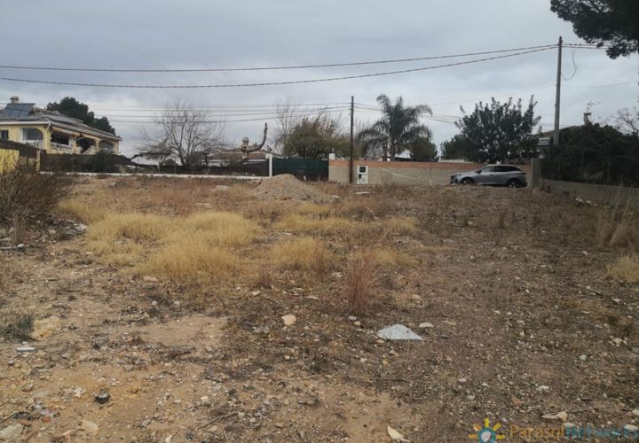 Terra a Alberic, Valencia, Alberic - € 39.000 | Ref: PNPT249 - foto 1
