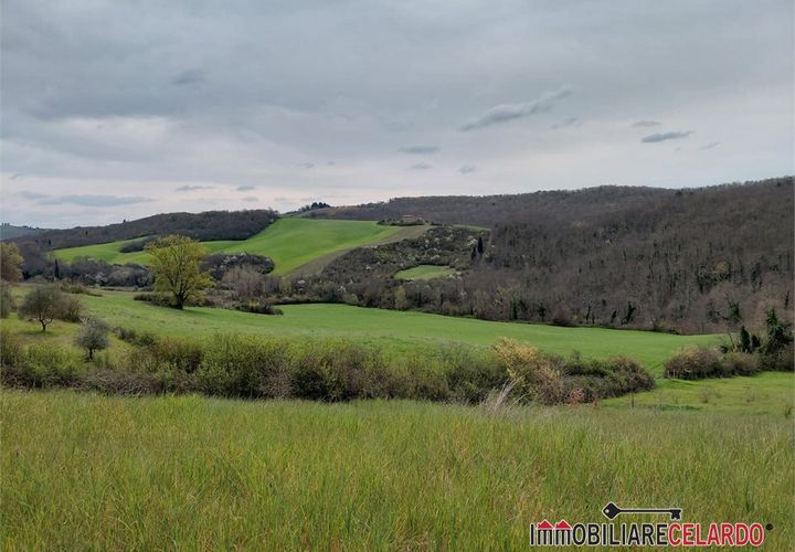 Terra a Poggibonsi, Siena, Poggibonsi - € 55.000 | Ref: MZD-2416 - foto 1