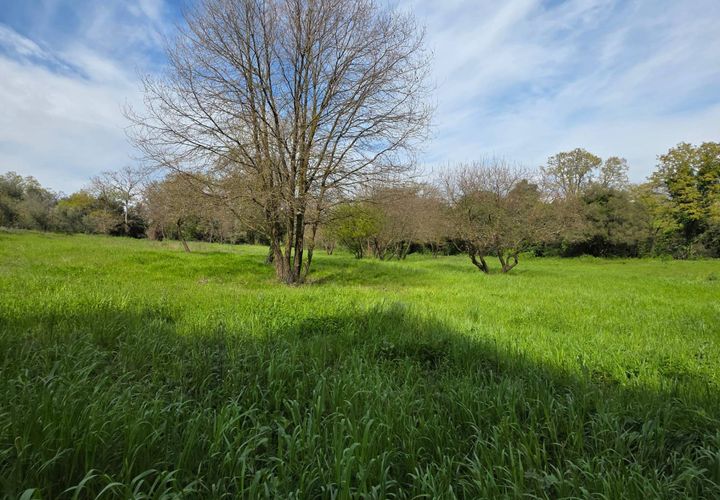 Terra a Pomezia, Rome, Pomezia - € 35.000 | Ref: 1001-739 - foto 1