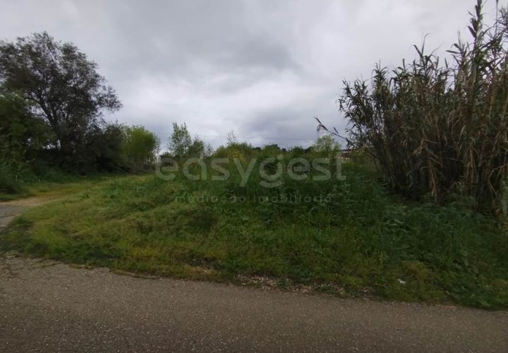 Helårsgrund i Coimbra, Coimbra, Coimbra - € 3.219.895 | Ref: RR99008 - foto 1