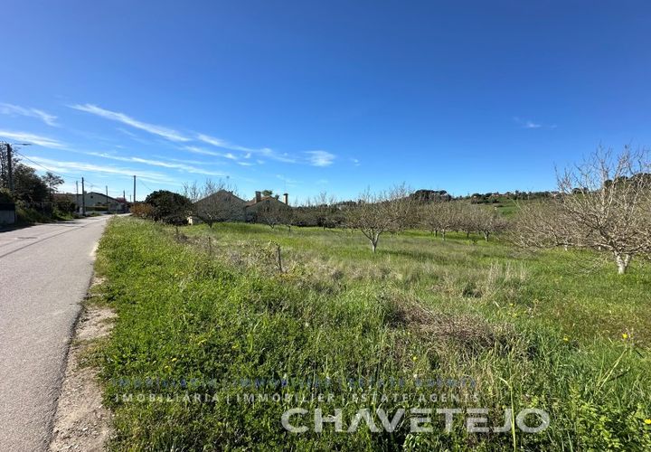 Terra a Tomar, Santarem, Tomar - € 49.000 | Ref: 603/26 - foto 1