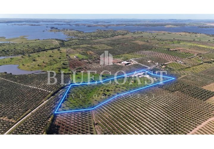 Farm i Moura, Beja, Moura - € 750.000 | Ref: QuintaBeja_007/26 - foto 1