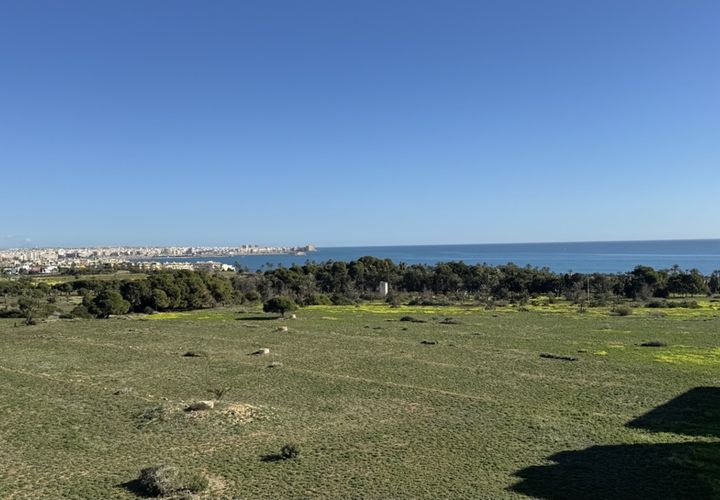 Apartamento en Punta Prima, Alicante, Punta Prima - € 210.000 | Ref: 775885 - photo 1