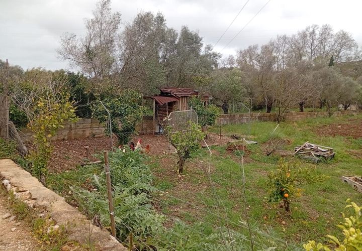 Terreno en Capdepera, Mallorca, Capdepera - € 45.000 | Ref: 5814W - photo 1