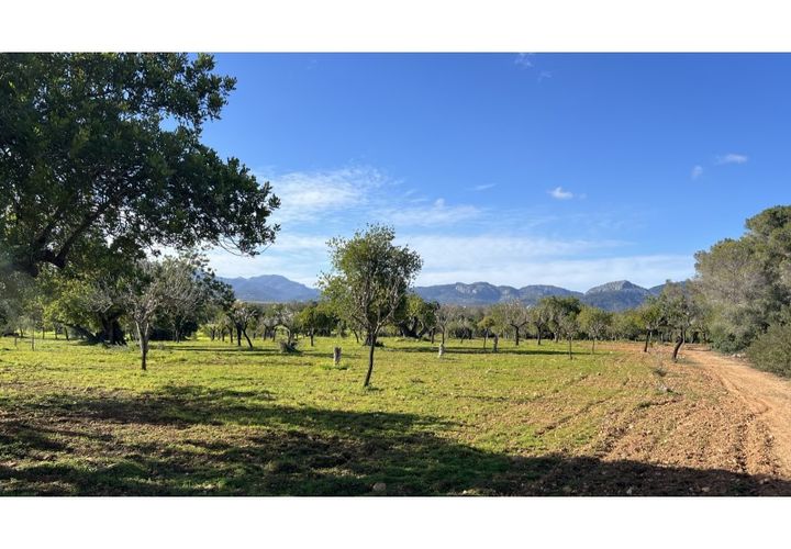 Terreno en Es Garrovers, Mallorca, Es Garrovers - € 650.000 | Ref: 7091 - photo 1