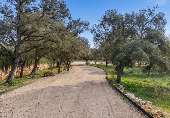 Terra a Costitx, Mallorca, Costitx - € 980.000 | Ref: 7007 - foto 1