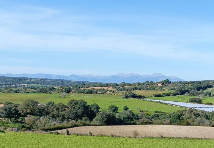 Terra a Manacor, Mallorca, Manacor - € 385.000 | Ref: 6262 - foto 1