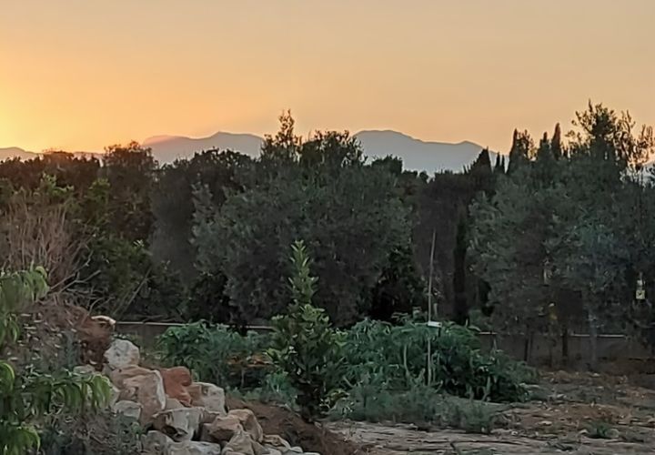Terra a Manacor, Mallorca, Manacor - € 550.000 | Ref: 6089 - foto 1