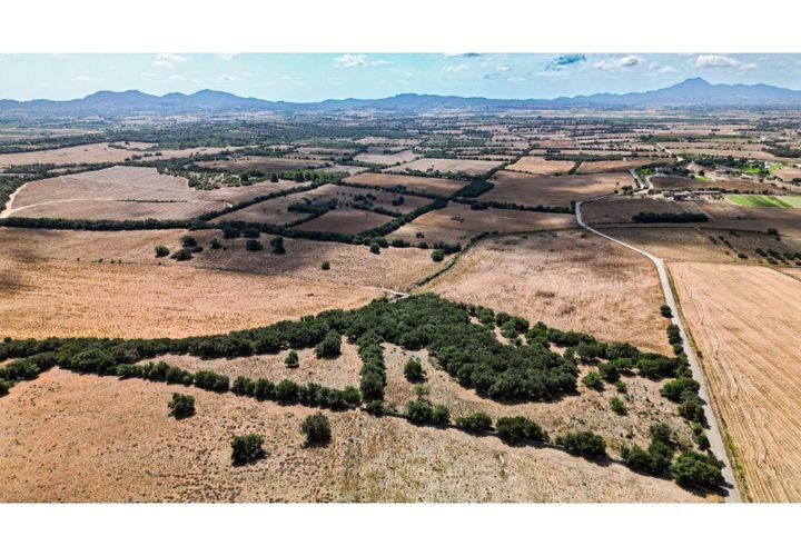 Landejendom i Manacor, Mallorca, Manacor - € 2.950.000 | Ref: 5063 - foto 1