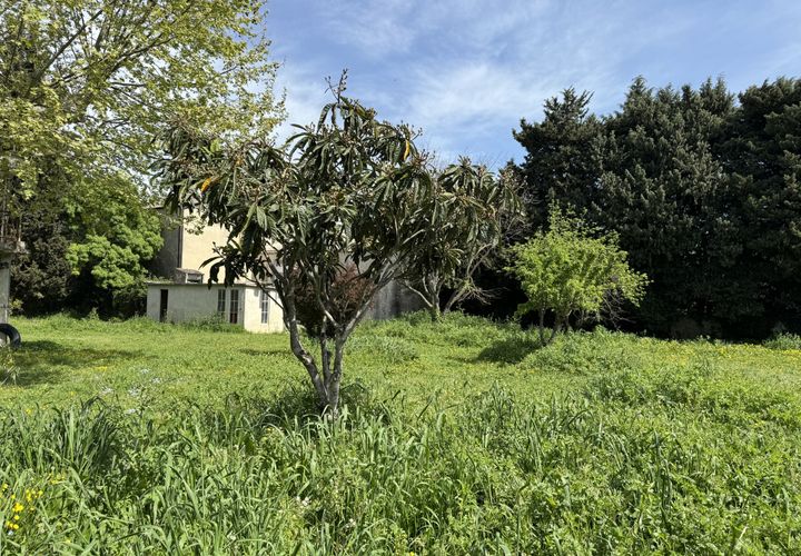 Tomt i Caderousse, Vaucluse, Caderousse - € 95 000 | Ref: 35849 - foto 1