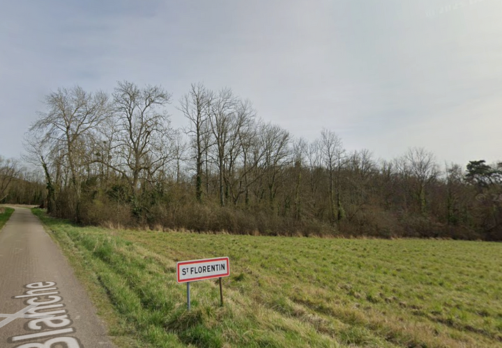 Terra a Saint-Florentin, Yonne, Saint-Florentin - € 8.000 | Ref: 36032 - foto 1