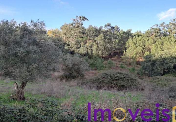 Helårsgrund i Loures, Lisbon, Loures - € 155.000 | Ref: SV 1126 - foto 1