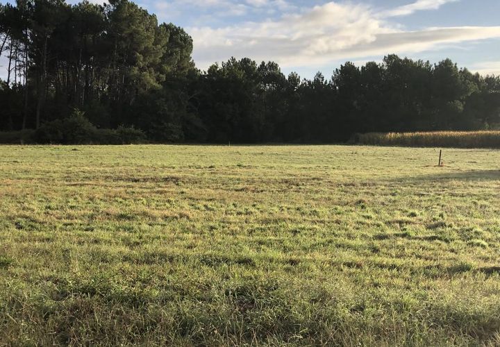 Villa i Le Teich, Gironde, Le Teich - € 331.000 | Ref: CB970LETEICH - foto 1