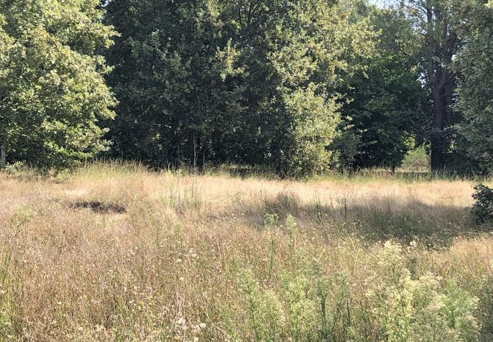 Villa a Le Teich, Gironde, Le Teich - € 346.500 | Ref: CB1030LETEICH - foto 1