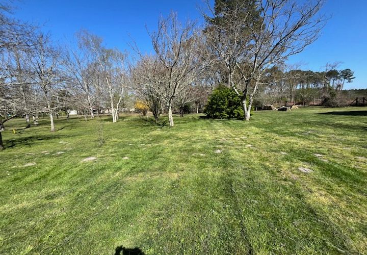 Villa a Le Teich, Gironde, Le Teich - € 322.900 | Ref: CB650LETEICH - foto 1