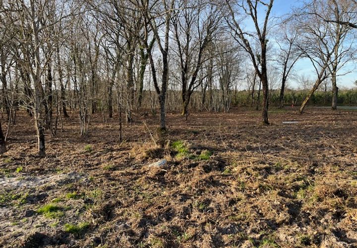 Villa a Biganos, Gironde, Biganos - € 312.500 | Ref: CB-603BIGANOS1 - foto 1